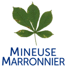 Mineuse du Marronnier