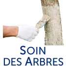 Soin des Arbres